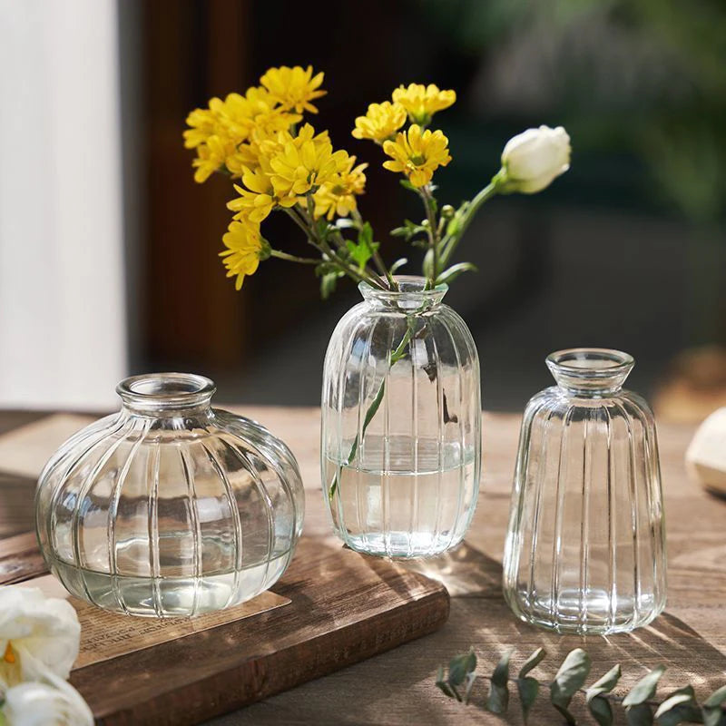 Vase Élia – Vase en Verre Transparent Minimaliste