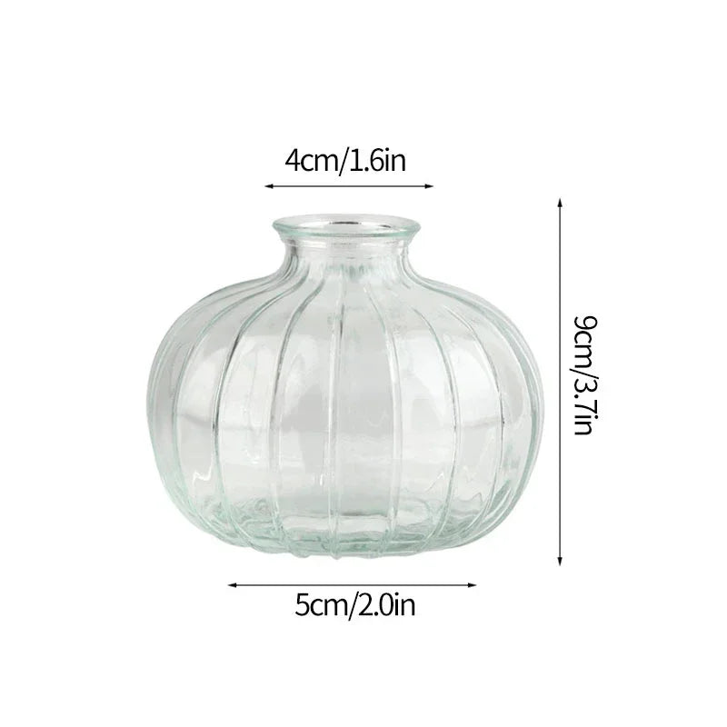 Vase Élia – Vase en Verre Transparent Minimaliste